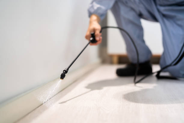 Licensed Pest Control service in Anadarko, OK - Show Me Pest Control