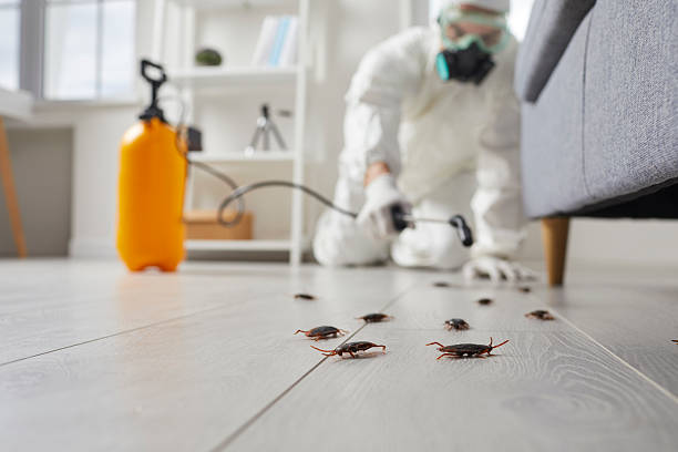 Commercial Kitchen Cockroach Control in Anadarko